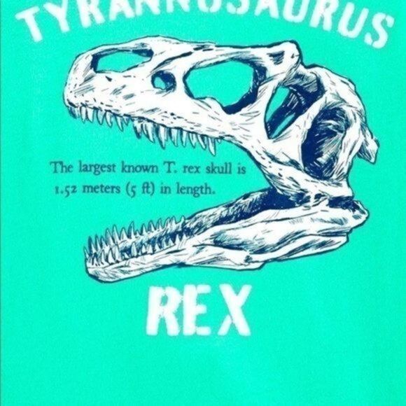 Carter’s Kid Boy tee jersey 8 print animal long sleeve mint green NWT - Picture 2 of 10